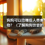 狗狗可以吃哪些人类食物？（了解狗狗饮食的安全与合理性）（图4）