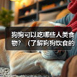 狗狗可以吃哪些人类食物？（了解狗狗饮食的安全与合理性）（图2）