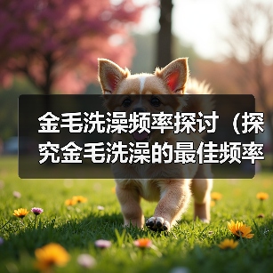 金毛洗澡频率探讨（探究金毛洗澡的最佳频率及注意事项）（图4）