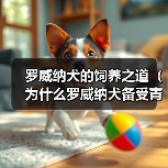 罗威纳犬的饲养之道（为什么罗威纳犬备受青睐？如何正确养育罗威纳犬？）（图4）