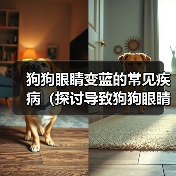 狗狗眼睛变蓝的常见疾病（探讨导致狗狗眼睛变蓝的可能原因及解决方法）（图3）