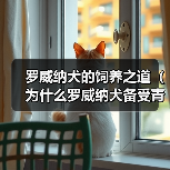 罗威纳犬的饲养之道（为什么罗威纳犬备受青睐？如何正确养育罗威纳犬？）（图2）