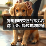 狗狗眼睛变蓝的常见疾病（探讨导致狗狗眼睛变蓝的可能原因及解决方法）（图1）