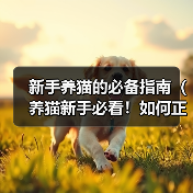 新手养猫的必备指南（养猫新手必看！如何正确养猫无忧无虑）（图4）