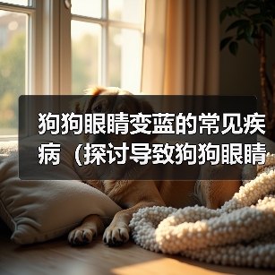 狗狗眼睛变蓝的常见疾病（探讨导致狗狗眼睛变蓝的可能原因及解决方法）（图4）