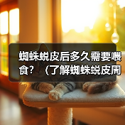 蜘蛛蜕皮后多久需要喂食？（了解蜘蛛蜕皮周期和喂食需求的关系）（图3）
