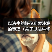 以法牛的怀孕期要注意的事项（关于以法牛怀孕的注意事项及时掌握，健康安全无忧）（图3）