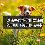 以法牛的怀孕期要注意的事项（关于以法牛怀孕的注意事项及时掌握，健康安全无忧）（图4）