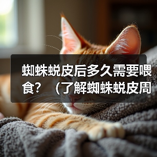 蜘蛛蜕皮后多久需要喂食？（了解蜘蛛蜕皮周期和喂食需求的关系）（图2）