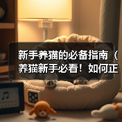 新手养猫的必备指南（养猫新手必看！如何正确养猫无忧无虑）（图2）