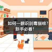 如何一眼识别毒猫粮？新手必看！（图4）