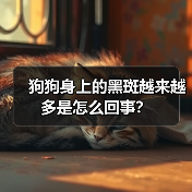 狗狗身上的黑斑越来越多是怎么回事？（图4）