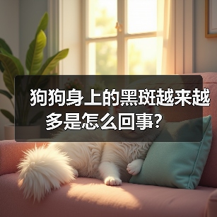 狗狗身上的黑斑越来越多是怎么回事？（图1）