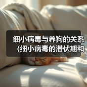 细小病毒与养狗的关系（细小病毒的潜伏期和狗的养殖时间）（图4）