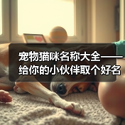宠物猫咪名称大全——给你的小伙伴取个好名字（宠物猫咪名字大全，帮你找到最适合的名字）（图4）