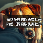 品味多样的以头类牡丹鹦鹉（探索以头类牡丹鹦鹉的多样品种及特点）（图1）