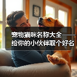 宠物猫咪名称大全——给你的小伙伴取个好名字（宠物猫咪名字大全，帮你找到最适合的名字）（图1）