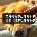 品味多样的以头类牡丹鹦鹉（探索以头类牡丹鹦鹉的多样品种及特点）（图2）