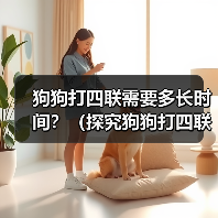 狗狗打四联需要多长时间？（探究狗狗打四联疫苗的时间和效果）（图2）