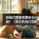 狗狗打四联需要多长时间？（探究狗狗打四联疫苗的时间和效果）（图3）