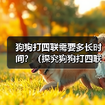 狗狗打四联需要多长时间？（探究狗狗打四联疫苗的时间和效果）（图4）