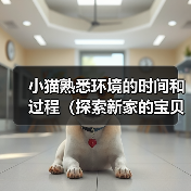 小猫熟悉环境的时间和过程（探索新家的宝贝猫咪是怎样逐渐适应的）（图4）