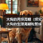 大狗的月经周期（探究大狗的生理周期和繁殖特征）（图4）