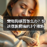 宠物狗感冒怎么办？快速摆脱病痛的3个措施！（帮助你的狗狗尽快恢复健康，远离感冒的困扰。）（图3）