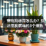 宠物狗感冒怎么办？快速摆脱病痛的3个措施！（帮助你的狗狗尽快恢复健康，远离感冒的困扰。）（图2）