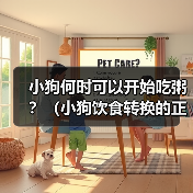 小狗何时可以开始吃粥？（小狗饮食转换的正确时机与方法）（图1）