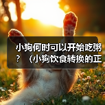 小狗何时可以开始吃粥？（小狗饮食转换的正确时机与方法）（图2）