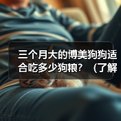 三个月大的博美狗狗适合吃多少狗粮？（了解三个月大博美狗狗的饮食需求与健康成长）（图2）