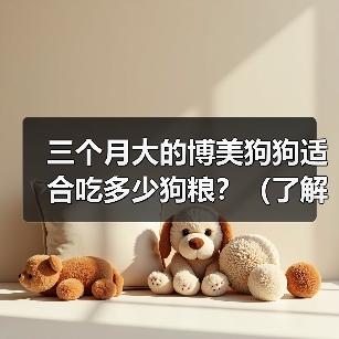 三个月大的博美狗狗适合吃多少狗粮？（了解三个月大博美狗狗的饮食需求与健康成长）（图1）