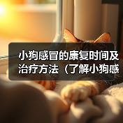 小狗感冒的康复时间及治疗方法（了解小狗感冒的症状与治愈时间，保护你的毛小孩）（图3）