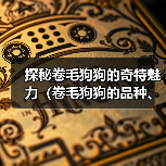 探秘卷毛狗狗的奇特魅力（卷毛狗狗的品种、特点及饲养技巧）（图2）