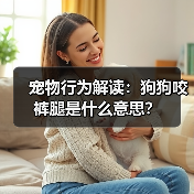 宠物行为解读：狗狗咬裤腿是什么意思？