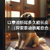 以泰迪断尾多久能长皮？（探索泰迪断尾愈合时间及注意事项）（图4）