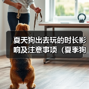 夏天狗出去玩的时长影响及注意事项（夏季狗狗外出游玩的最佳时长及需要注意的问题）（图2）