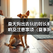夏天狗出去玩的时长影响及注意事项（夏季狗狗外出游玩的最佳时长及需要注意的问题）（图1）