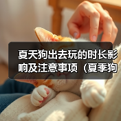 夏天狗出去玩的时长影响及注意事项（夏季狗狗外出游玩的最佳时长及需要注意的问题）（图3）