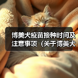 博美犬疫苗接种时间及注意事项（关于博美犬疫苗接种的时间要点，了解宠物健康的必备知识）（图3）