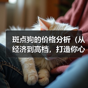 斑点狗的价格分析（从经济到高档，打造你心仪斑点狗的价格范围）（图4）