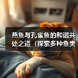 燕鱼与孔雀鱼的和谐共处之道（探索多种鱼类饲养的可行性，斗鱼是否适宜？）（图3）