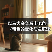以马犬多久看出毛色？（毛色的变化与发展速度）（图1）