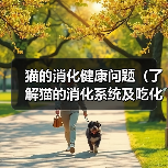 猫的消化健康问题（了解猫的消化系统及吃化毛膏的最佳频率）（图1）