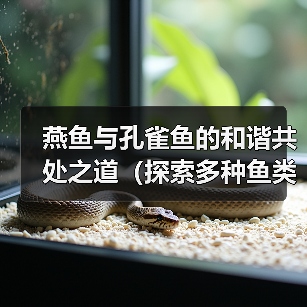燕鱼与孔雀鱼的和谐共处之道（探索多种鱼类饲养的可行性，斗鱼是否适宜？）（图1）