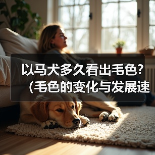 以马犬多久看出毛色？（毛色的变化与发展速度）（图2）