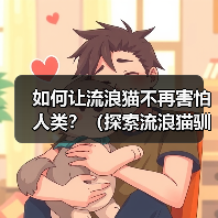 如何让流浪猫不再害怕人类？（探索流浪猫驯化的有效方法）（图1）