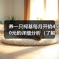 养一只柯基每月开销450元的详细分析（了解柯基的月度开销，让你掌握养狗经济学）（图2）