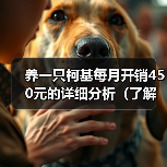 养一只柯基每月开销450元的详细分析（了解柯基的月度开销，让你掌握养狗经济学）（图4）